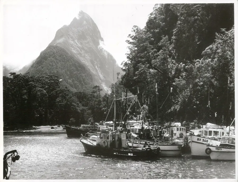 Milford Sound